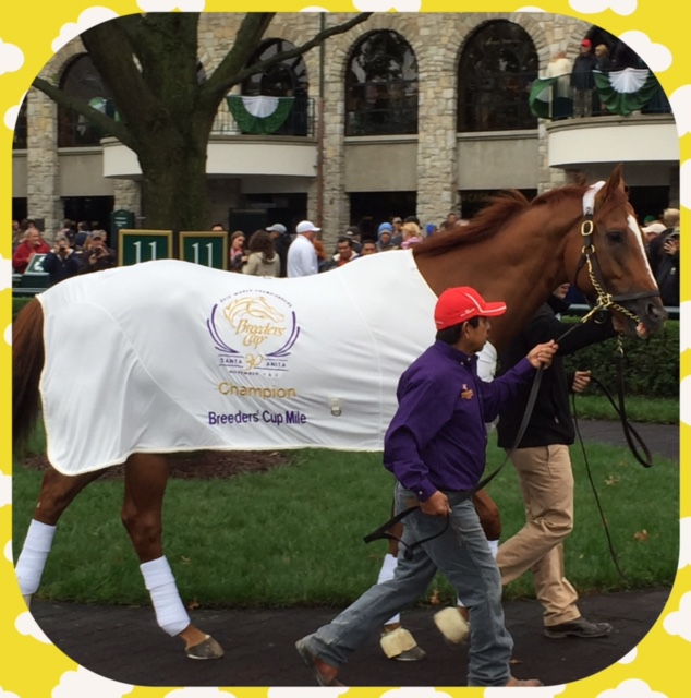 Wise Dan parades at Keeneland. In his retirement he is an ambassador of the sport.