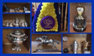 Ashford Stud trophies