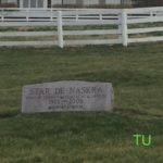 Darby Dan Farm