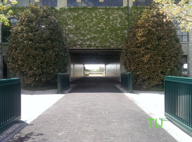 Keeneland's tunnel to the track
