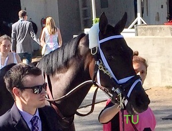 Tepin at Keeneland