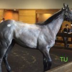 A filly to Cairo Prince and Affluenza sold post sale.