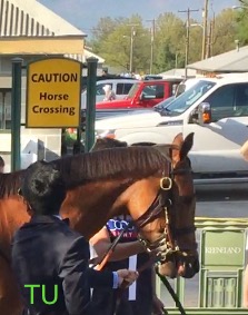 Lady Eli
