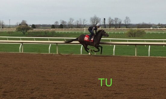 McCraken at Keeneland 2017