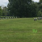 Thoroughbred graveyard at Gainesway Farm