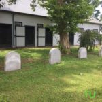 Thoroughbred graveyard at Gainesway Farm