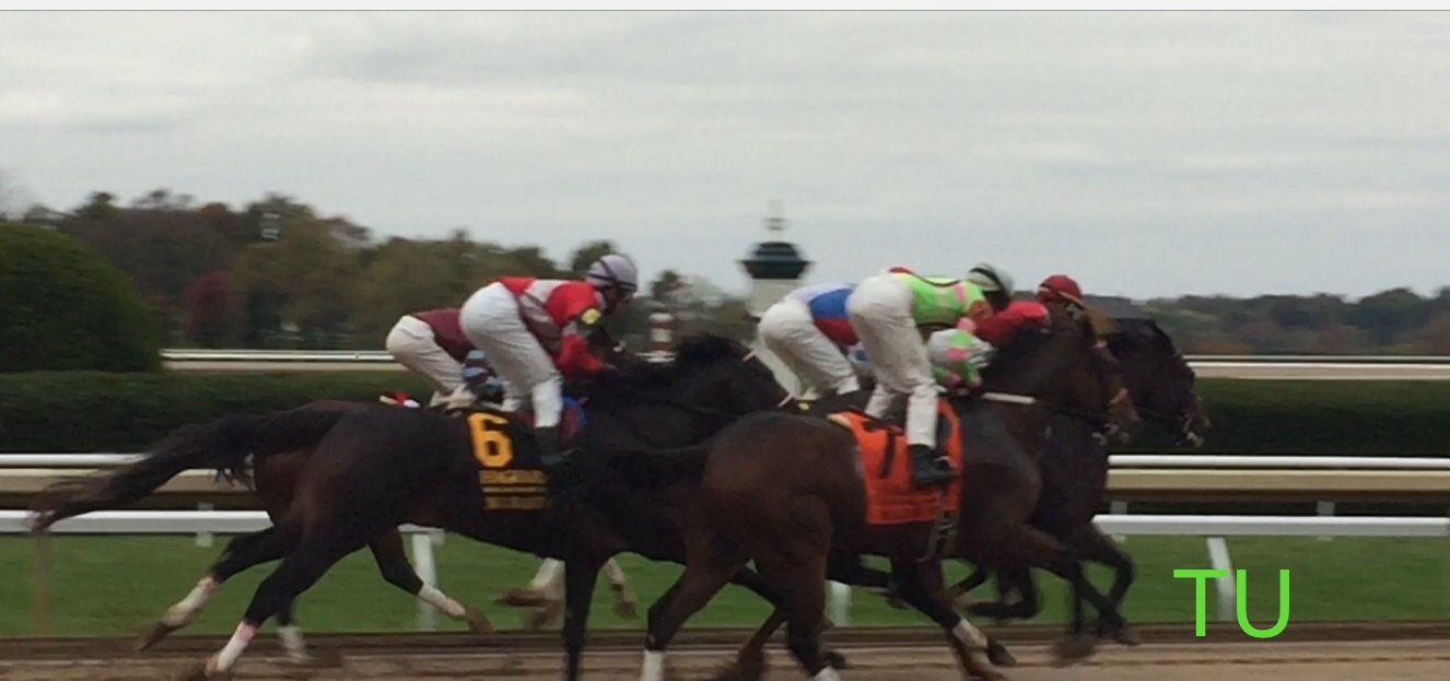 Racing at Keeneland October, 2017