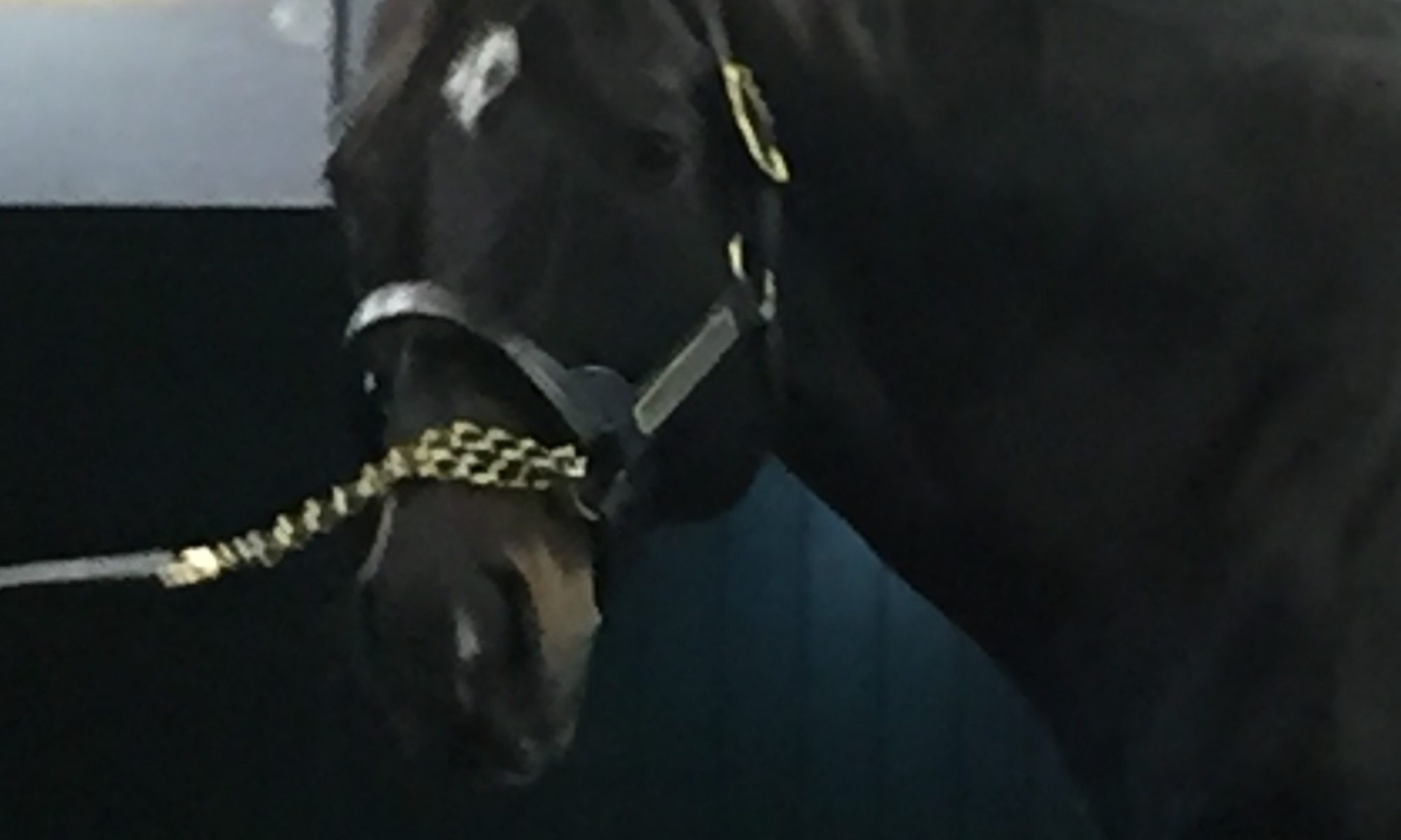 Pioneerof the Nile at WinStar