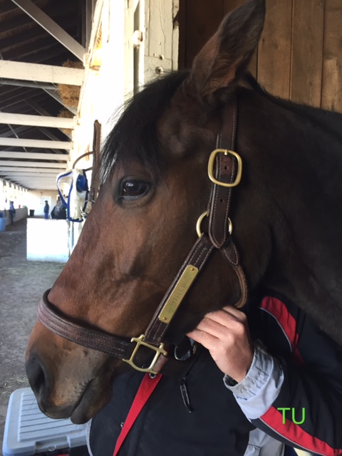 Titled, hours before her race at Churchill Downs