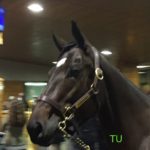 Nickname at Fasig-Tipton