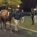 Dacita at Fasig-Tipton