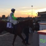 Celestial Insight wins at Churchill Downs
