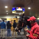 Songbird at Fasig-Tipton