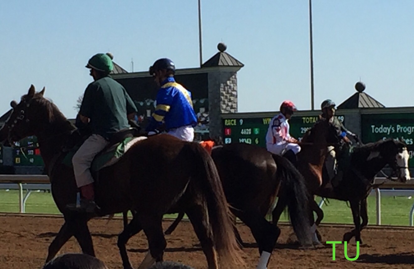 Collected right before his Lexington Stakes win at Keeneland