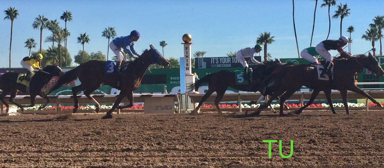 Turf Paradise racing, November 2017