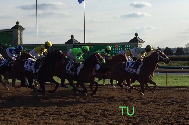 The Ortiz brothers race before the first turn at Keeneland in the Blue Grass Stakes!
