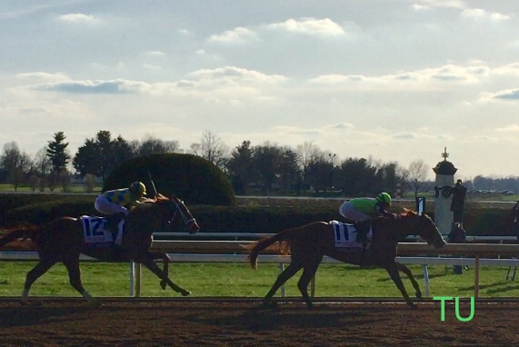 Good Magic and Flameaway head for the finsh line in the Blue Grass Stakes!.