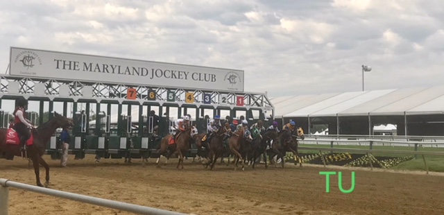 Opening Day at Pilmlico in Maryland preceding the 2018 Black-Eyed Susan Stakes.