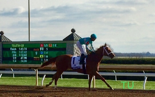 Monomoy Girl before the Ashland Stakes!