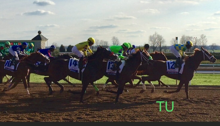 Free Drop Billy and Blended Citizen raced in the Blue Grass Stakes at Keeneland!