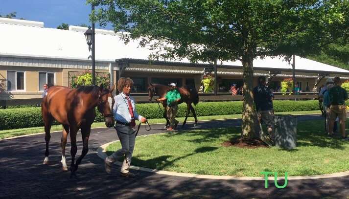 The July Sale; Selected Yearlings 2018 at Fasig-Tipton in Lexington, KY