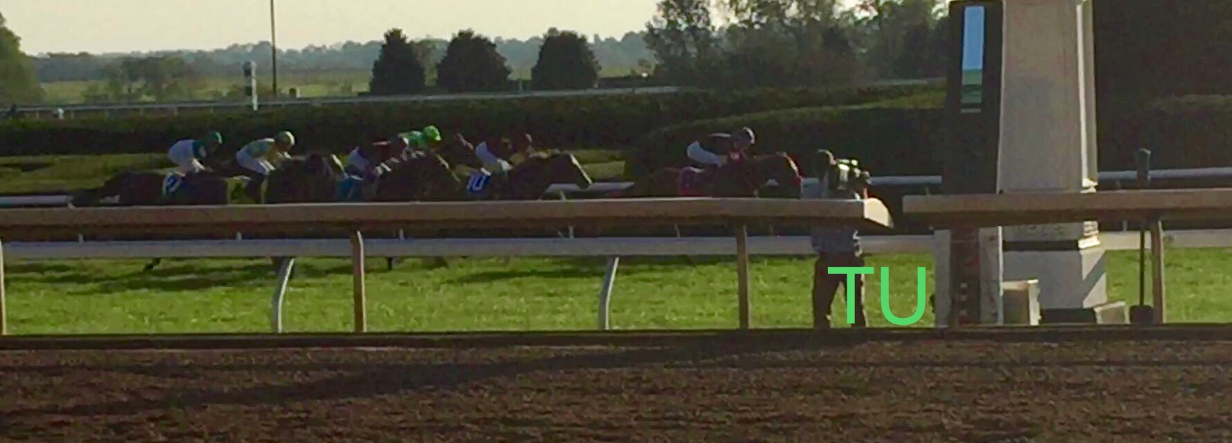 New Money Honey races in the Queen Elizabeth II Challenge Cup at Keeneland.