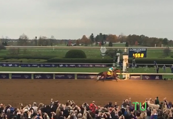American Pharoah wins the one and only Grand Slam!