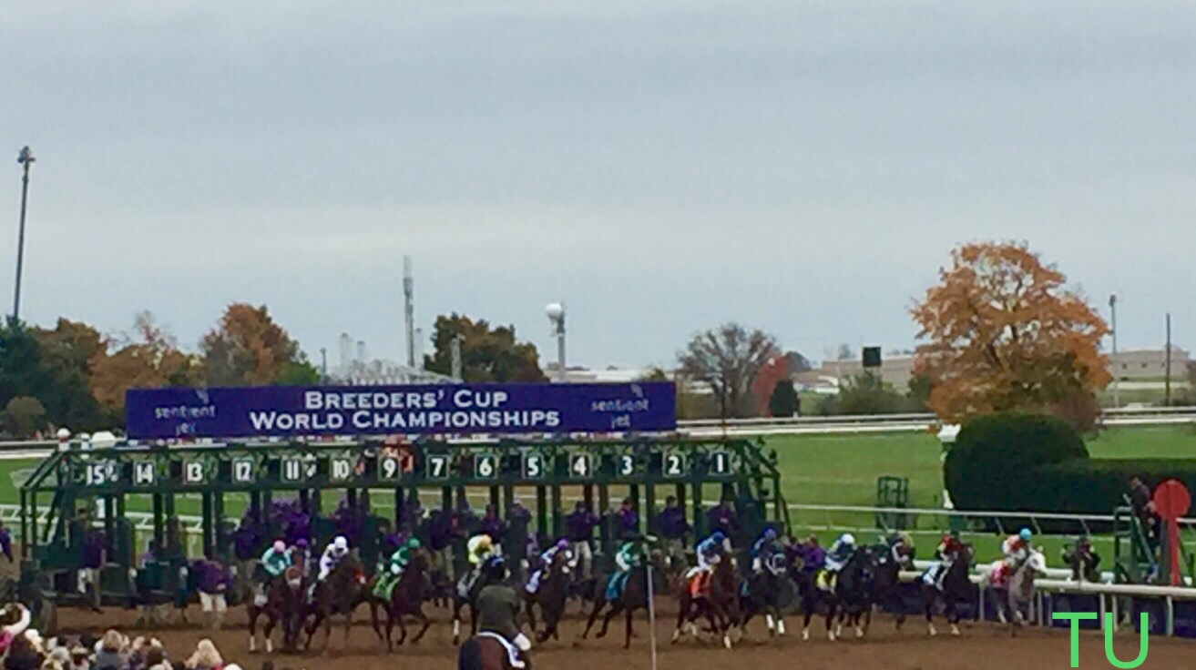 Breeders' Cup World Championships is enjoyed by many countries.