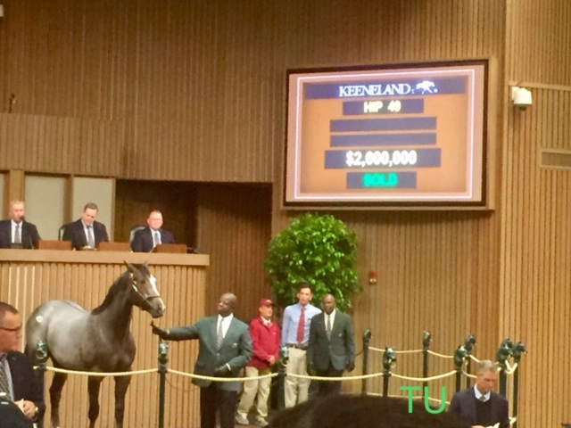 Gun It, was a Keeneland September Sale grad of 2017. He sold for the second highest price for a North American yearling.