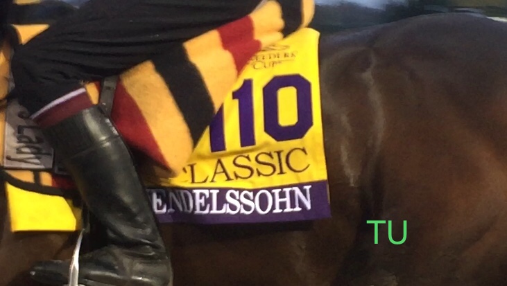 Mendelssohn preps for the Breeders' Cup Classic