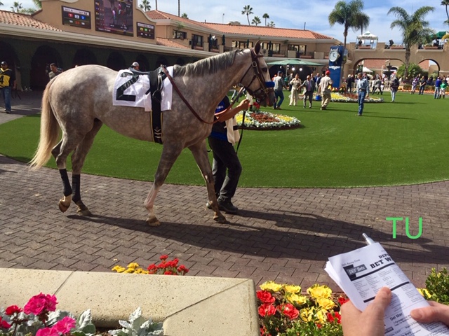Coliseum broke his maiden at his first asking at Del Mar 11/18 by 6 and 3/4 lengths!