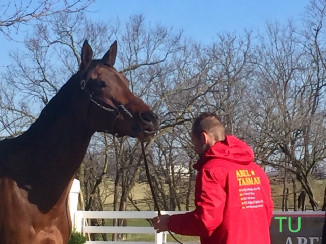 Abel Tasman added another title to her list of achievements when she broke a sales record at Keeneland January Sale.