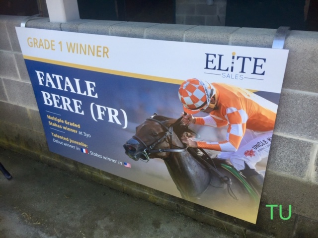 Fatale Bere was added to the sale as a supplement. She found herself fetching the third highest price of day 1 at Keeneland's January Sale.