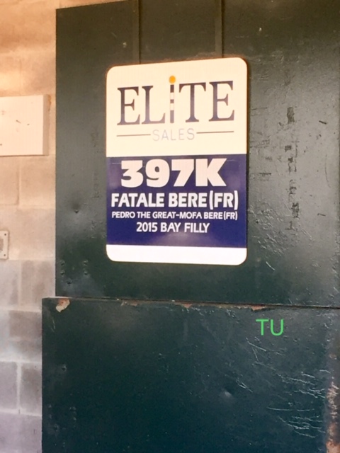 Fatale Bere was added to the sale as a supplement. She found herself fetching the third highest price of day 1 at Keeneland's January Sale.