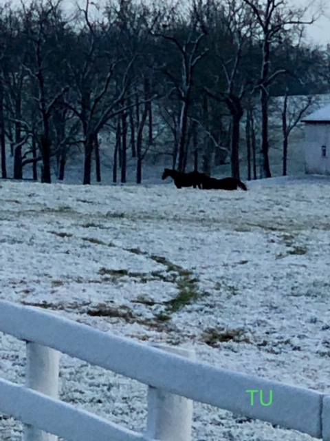 More Rain and Snow in Kentucky. Looking forward to Florida racing today.