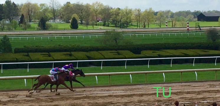 Keeneland's 2019 Spring Meet!