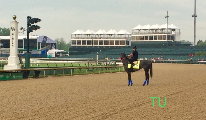 Roadster just did part of the track while Game Winner came out after Dawn at the Downs was over. These two Baffert boys were not camera for me. 
