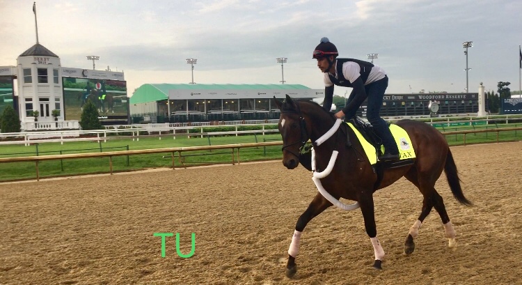 Tax is the contender to break from post 2. This gate has seen 7 Kentucky Derby winners.