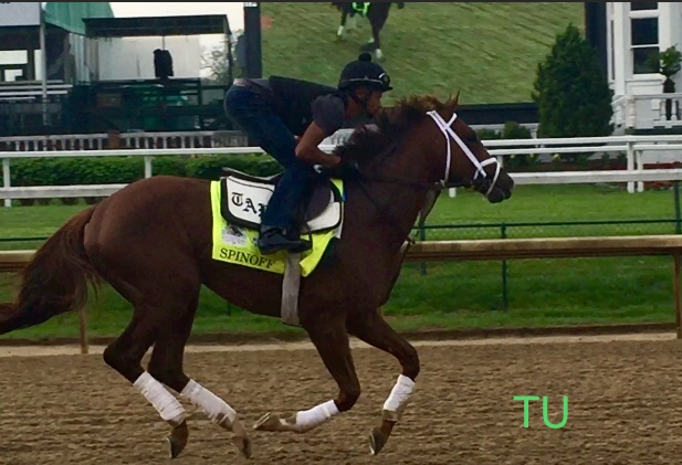 Long Range Toddy spent a good amount of time breezing for the fans at Churchill Downs. 