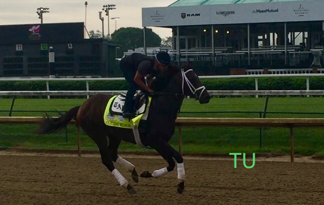 Cutting Humor was in fine form at Churchill Downs this morning. 