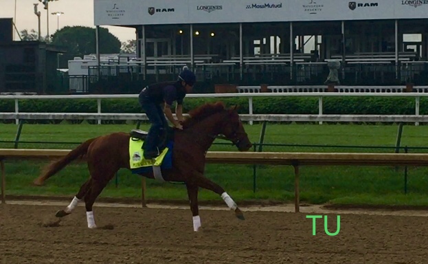 Plus Que Parfait breezed at Churchill Downs prior to the Kentucky Derby!