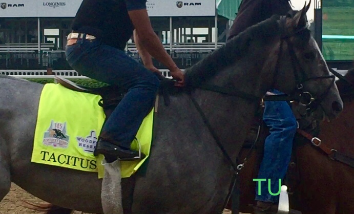 The lovely, gray, Tacitus is racing in Churchill Downs' Kentucky Derby!