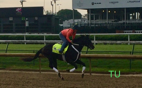 Hoping for a Win, Win, Win in the 145th Kentucky Derby!