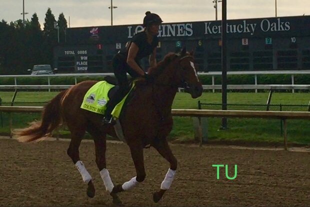 Thanks to a scratch, Country House improves his post position odds in the 145th Kentucky Derby!