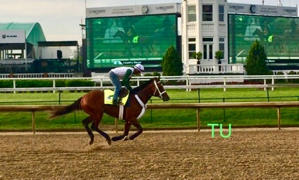 Maximum Security starts next in the 145th Kentucky Derby!