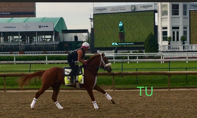 Vekoma, winner of Keeneland's Blue Grass Stakes will compete in the Kentucky Derby!