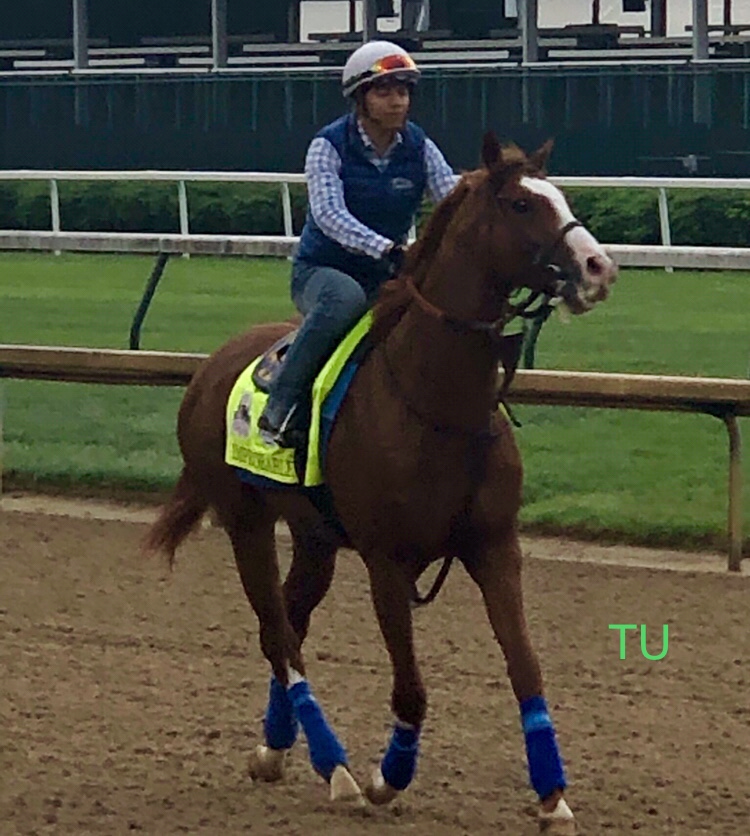 Up close and Improbable! He is in good historical company. 10 horses have won the Kentucky Derby from post 5. 