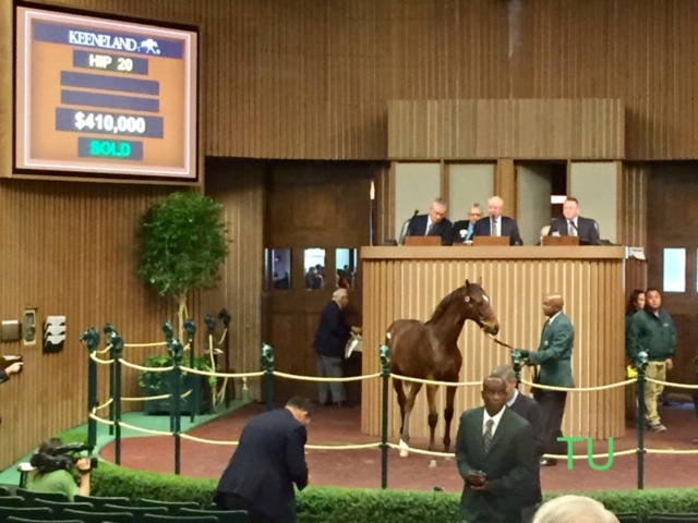 Before he was a Preakness contender, Bourbon War was a mere baby at the Keeneland November Sale. 