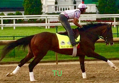 War of Will wowed at the morning workouts ahead of the Kentucky Derby at Churchill Downs.