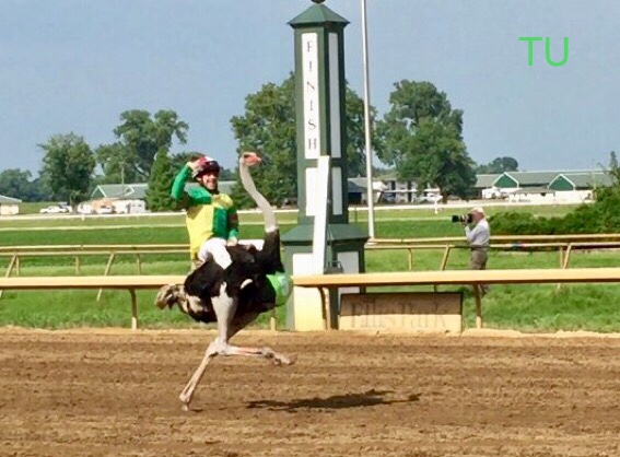 Dylan Willett rode the fastest ostrich at Ellis Park.